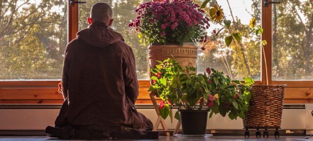 Protected: The Blooming of a Lotus
